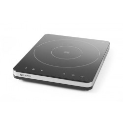 Kuchenka indukcyjna model 2000