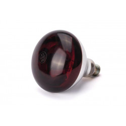 Żarówka grzewcza na podczerwień