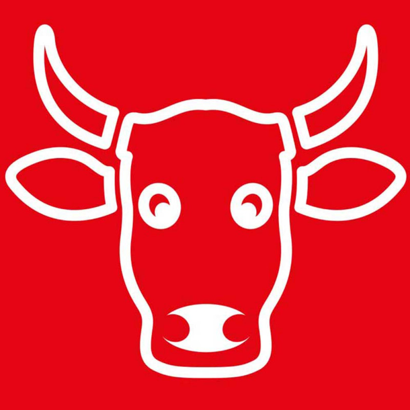 Nóż do filetowania, HACCP, czerwony, L 160 mm